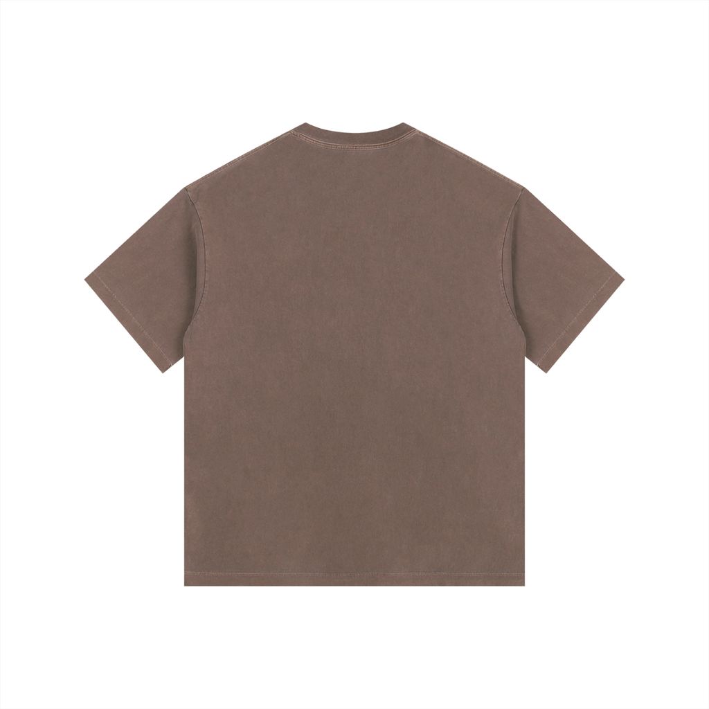 Lost Ones Vintage Washed Tee in Brown