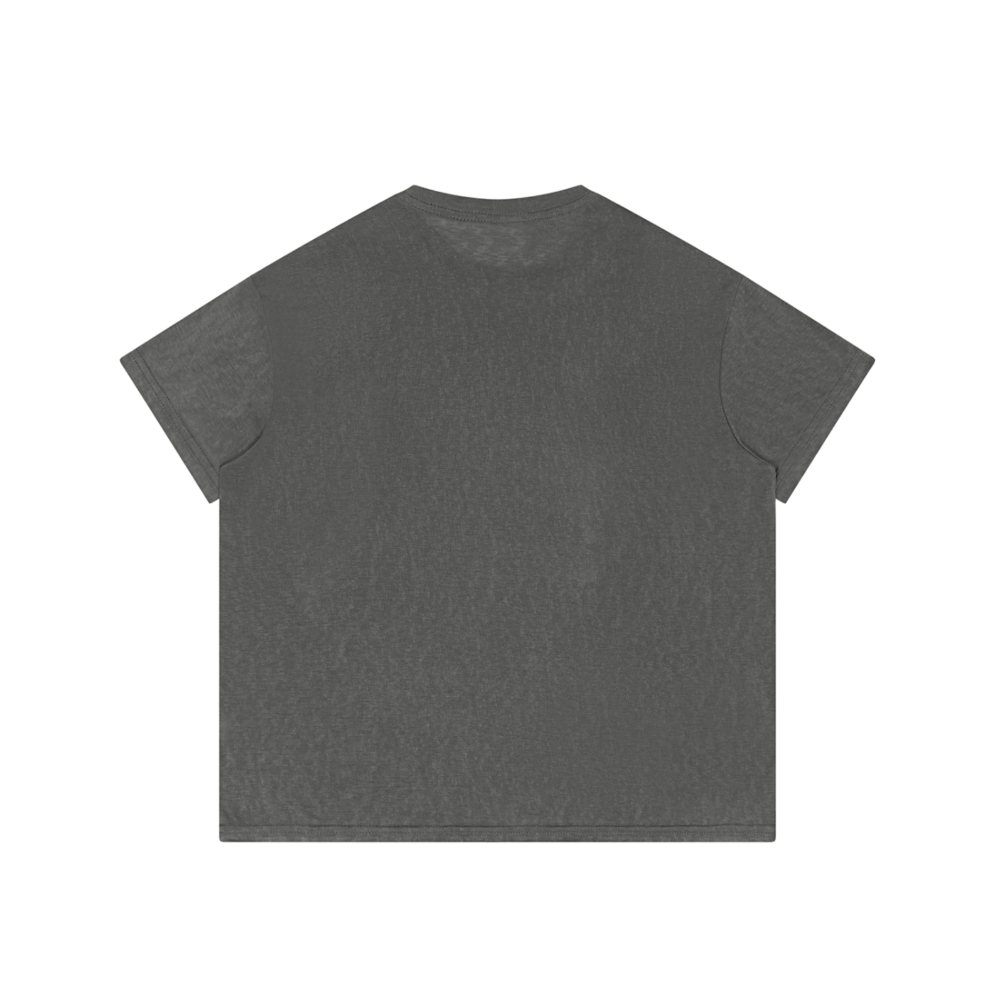 PDS 2011 Sheer Burn-out Tee in Grey