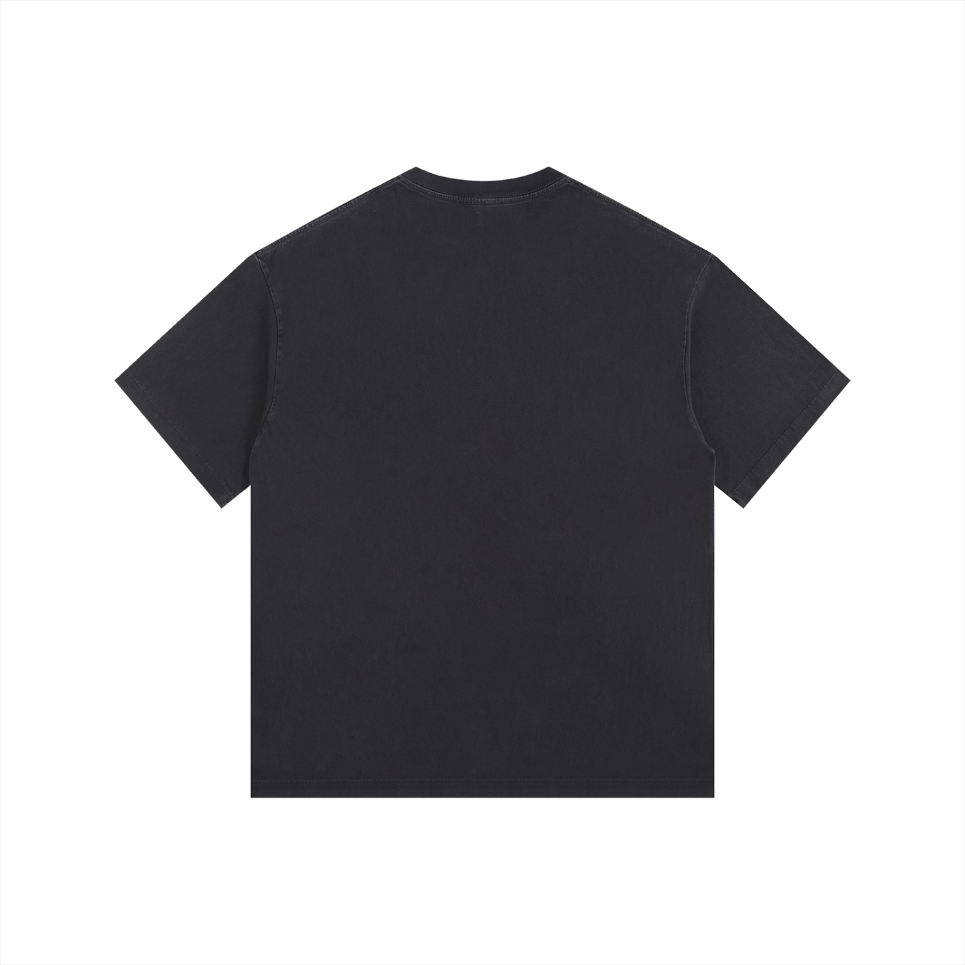 Lost Ones Vintage Washed Tee in Black