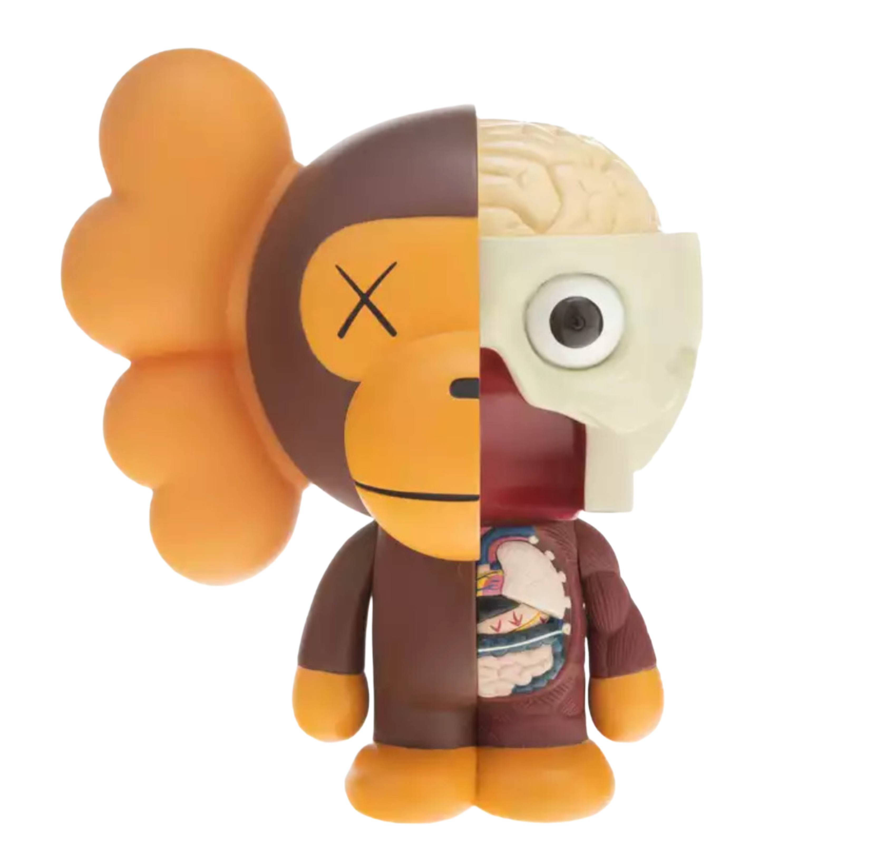 Kaws + Bape Dissected Milo