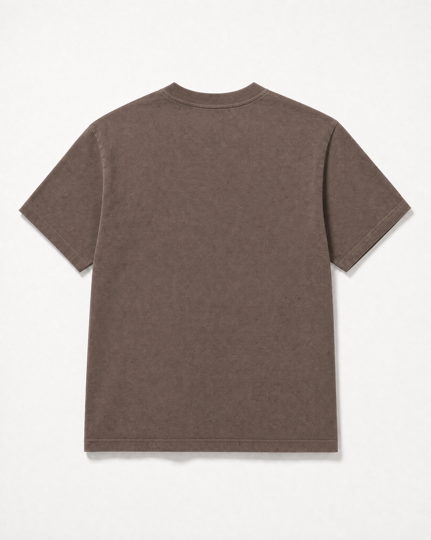 Lost Ones Vintage Washed Tee in Brown