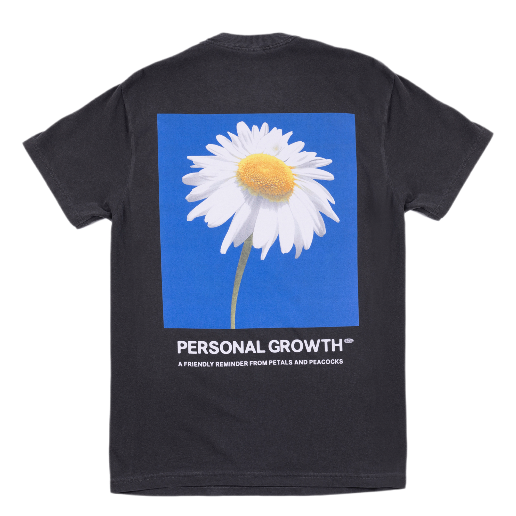 Personal Growth Vintage Tee